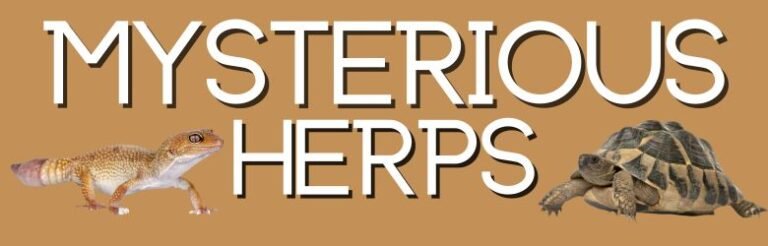 What Is Herpetology? - Mysterious Herps